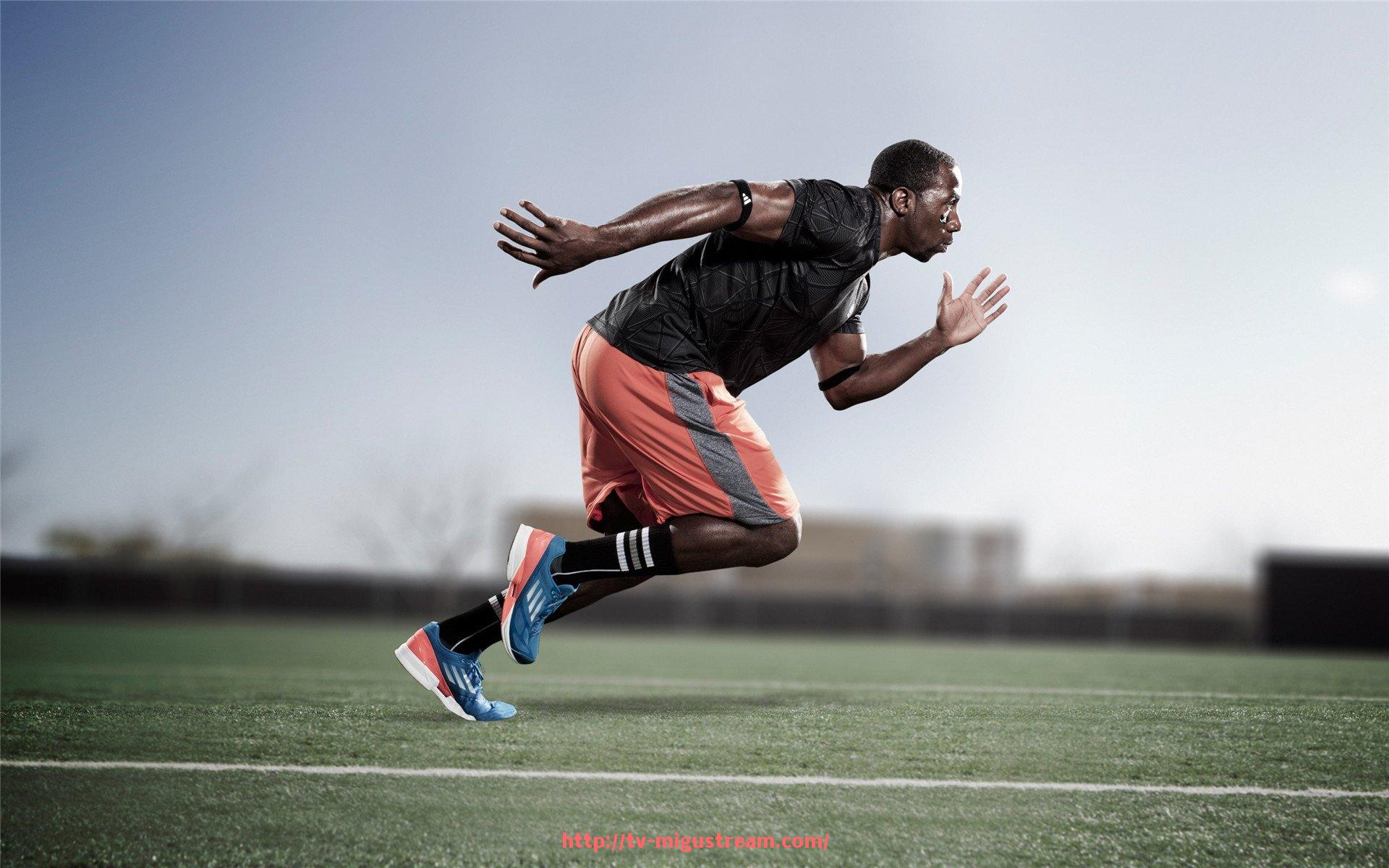 咪咕体育直播-英超历史单场进球数最多的球员纪录